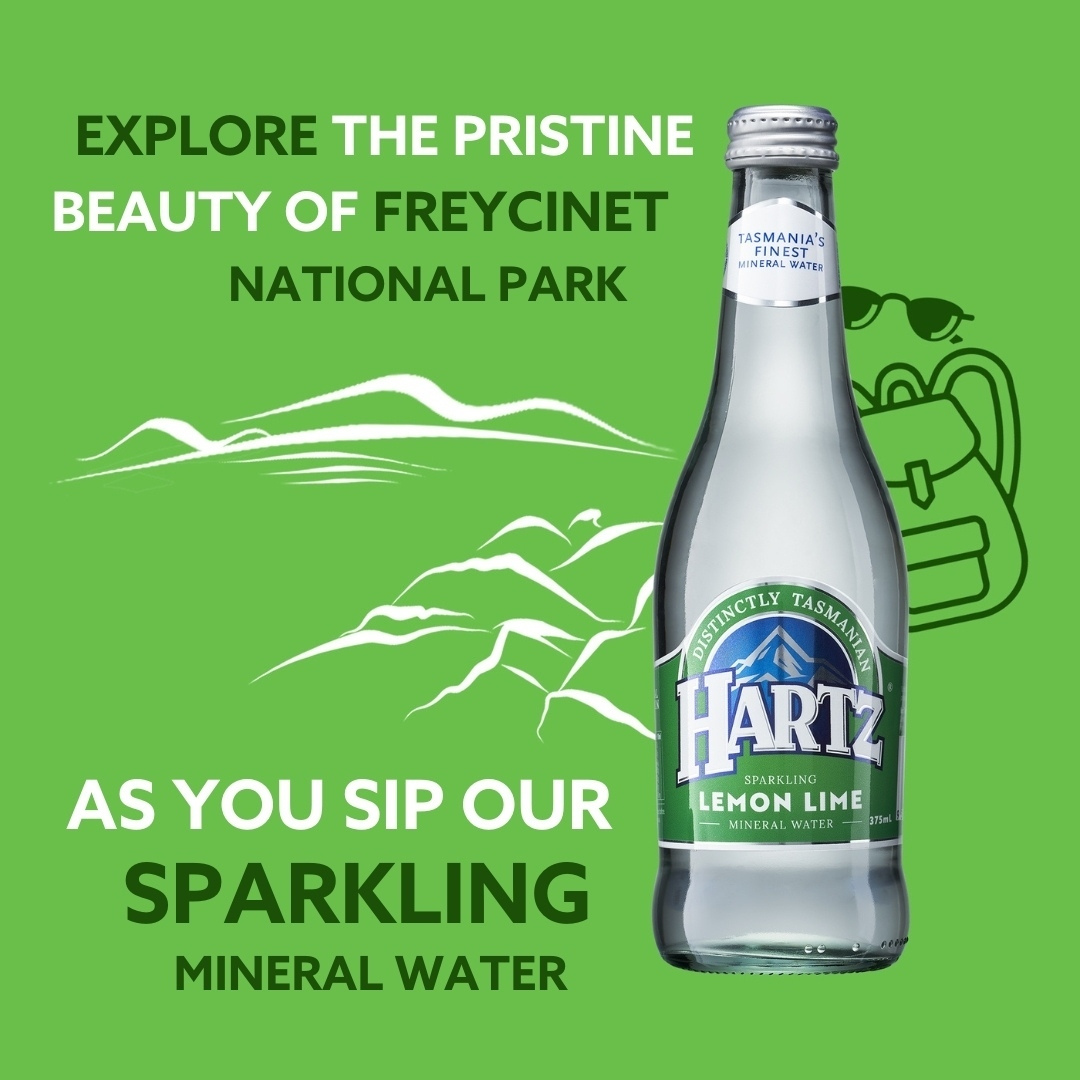Hartz Sparkling Mineral Water Lemon Lime - 12 x 375ml